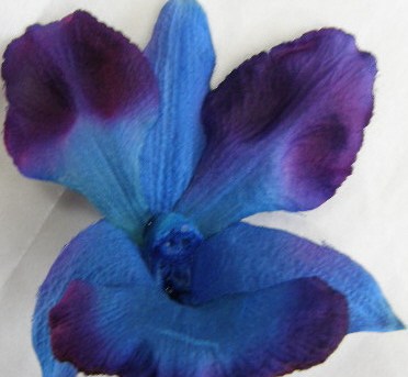 Unknown Artist flower 1